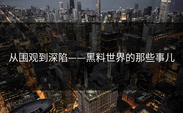 从围观到深陷——黑料世界的那些事儿