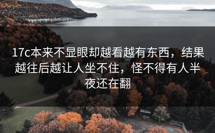 <strong>17C</strong>本来不显眼却越看越有东西，结果越往后越让人坐不住，怪不得有人半夜还在翻