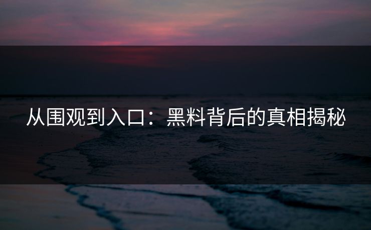 从围观到入口：黑料背后的真相揭秘