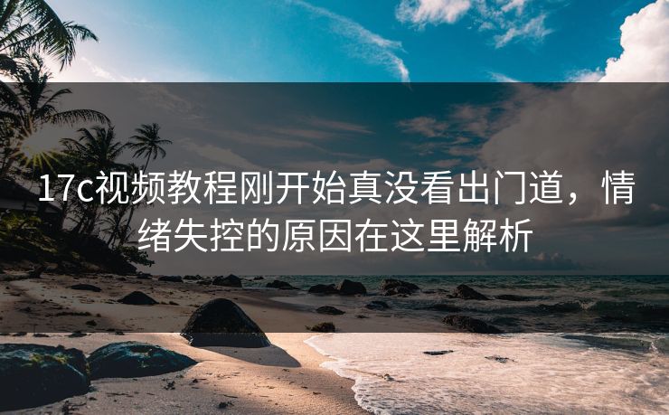 <strong>17C</strong>视频教程刚开始真没看出门道，情绪失控的原因在这里解析