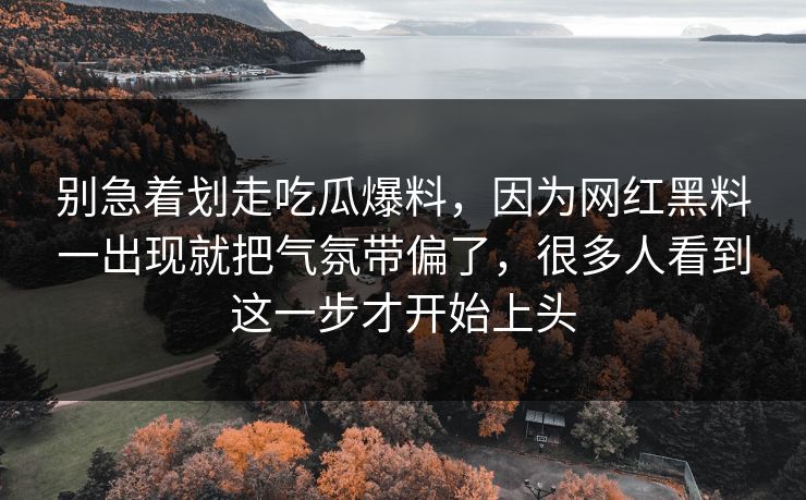 别急着划走吃瓜爆料，因为网红黑料一出现就把气氛带偏了，很多人看到这一步才开始上头