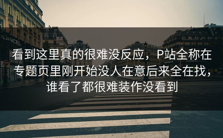 看到这里真的很难没反应，P站全称在专题页里刚开始没人在意后来全在找，谁看了都很难装作没看到