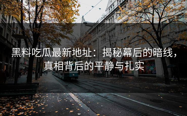 黑料吃瓜最新地址：揭秘幕后的暗线，真相背后的平静与扎实
