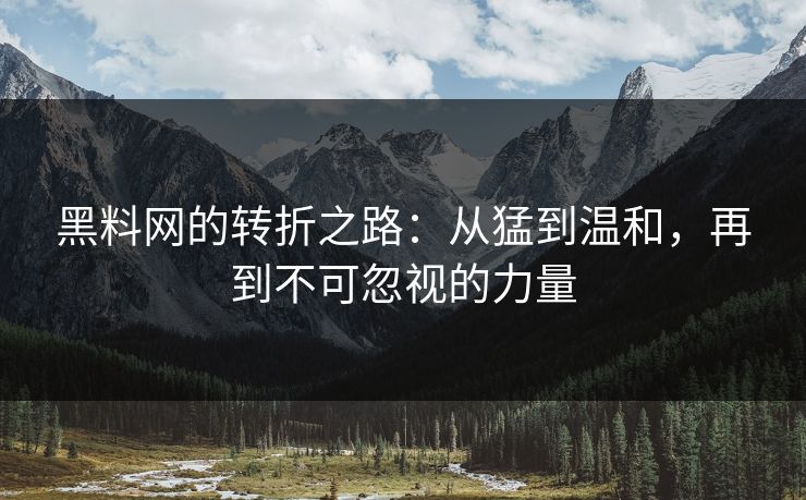 黑料网的转折之路：从猛到温和，再到不可忽视的力量