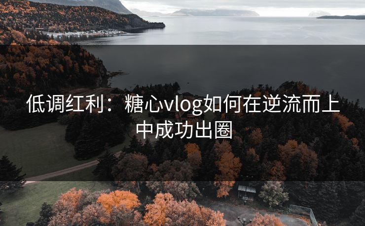 低调红利：糖心vlog如何在逆流而上中成功出圈
