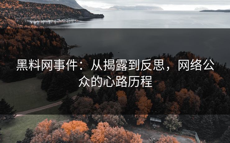 黑料网事件：从揭露到反思，网络公众的心路历程