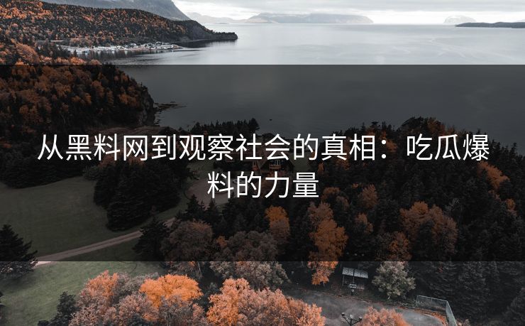 从黑料网到观察社会的真相：吃瓜爆料的力量