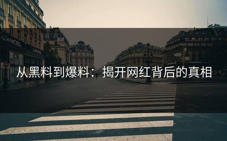 从黑料到爆料：揭开网红背后的真相