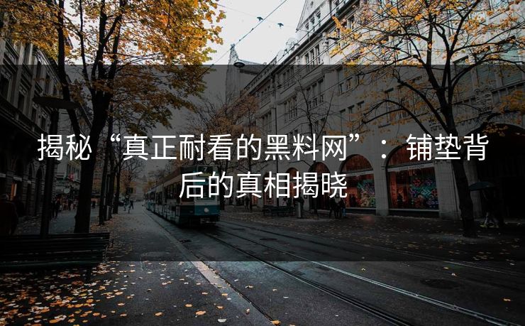 揭秘“真正耐看的黑料网”：铺垫背后的真相揭晓